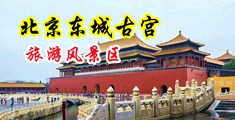 操小穴视频在线看中国北京-东城古宫旅游风景区